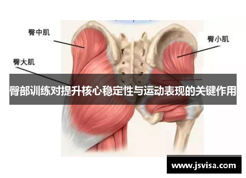 臀部训练对提升核心稳定性与运动表现的关键作用