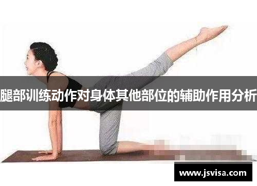腿部训练动作对身体其他部位的辅助作用分析
